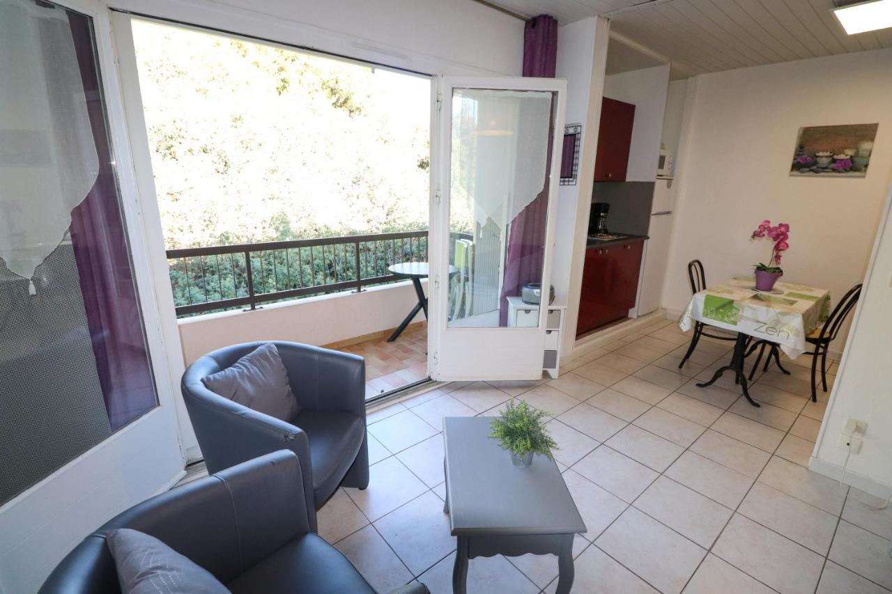 Locations Appartements Standing Amelie-Les-Bains Zewnętrze zdjęcie